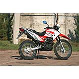 Мотоцикл Skybike STATUS-200 куб., фото 5