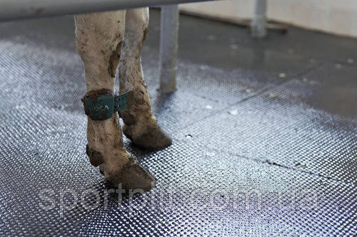 Гумові килимки для корівника (КРС), фото 1