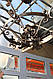 Люстра художня , фото 3