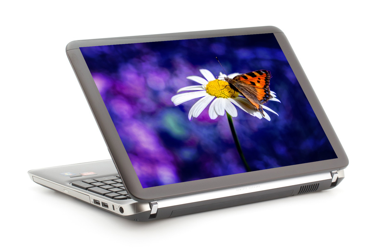 Наклейка на ноутбук. Метелик