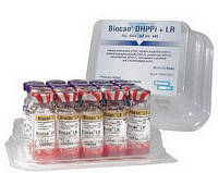 Вакцина Биокан DHPPI+LR 1мл Bioveta