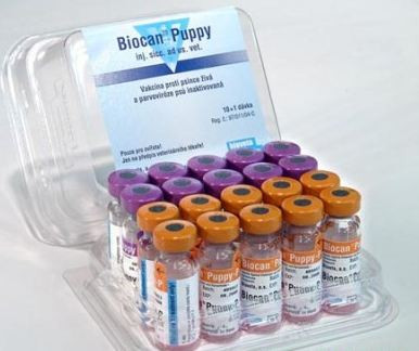 Вакцина Биокан puppy, 1мл - фото 1 - id-p65864896
