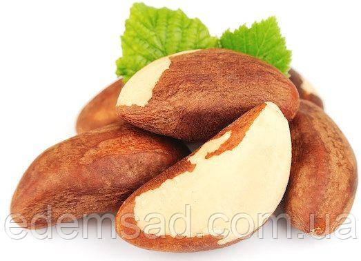 Бразильський горіх, 100 г