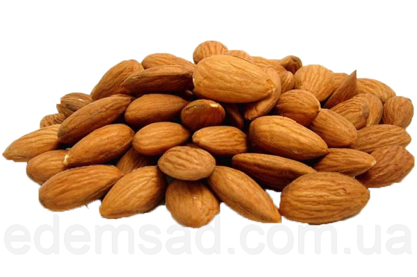 Микро- и макроэлементы в Абрикос-ядро