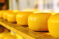 Полимерное покрытие для сыра (латекс) желтое 1 кг.