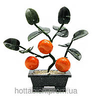 Дерево мандарин (3 плоди)