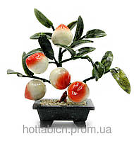 Дерево персик (5 плодів)