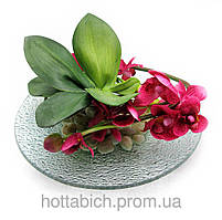 Квітка орхідеї на скляній підставці