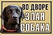 Таблички на паркан злий собака з світловідображення (різні картинки), фото 6