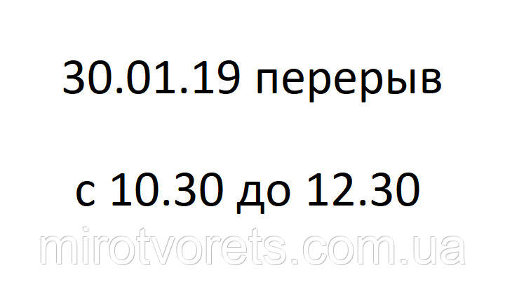 Перерву в роботі магазину на 30.01.19