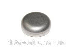 421-1002089 заглушка блоку дв.100лс мала d30