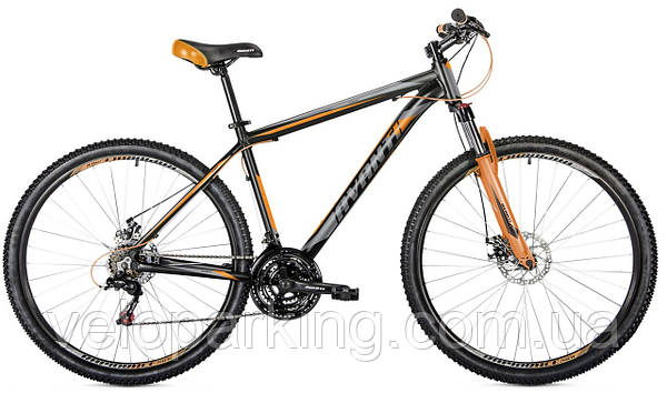 Avanti 29 on sale