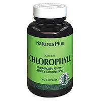 Органический Хлорофилл, Natures Plus, 60 капсул