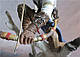 Статуетка - фігура HAOCAITOY Assassins Creed 3: Connor The Hunter 25см AC60.217, фото 7