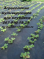 Основний розділ