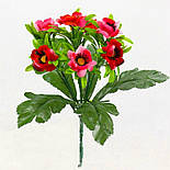 Полевые цветы с подкустником. 30см (20 шт. в уп), фото 2