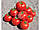 Насіння томату BT 236 F1, раннє, BT TOHUM Туреччина, фото 3