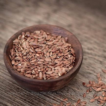 Семена льна 500г (ID#878723707), цена: 25 ₴, купить на Prom.ua