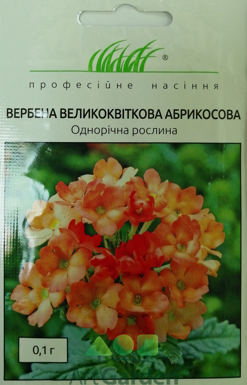 Вербена крупноцветковая Абрикосовая 0,1г