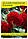 Насіння квітів Целозія гребінчаста бордова, 50г, фото 2