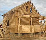 Оциліндоврена колода із сосни 200 мм., фото 5