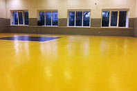 Килим борцівський 12м х 12м однотонний (покриття)