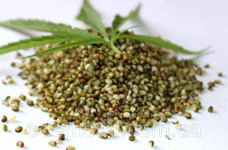 Семя конопли 1 кг цена за семечку марихуаны