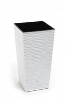 Вазон Финезия-Длуто