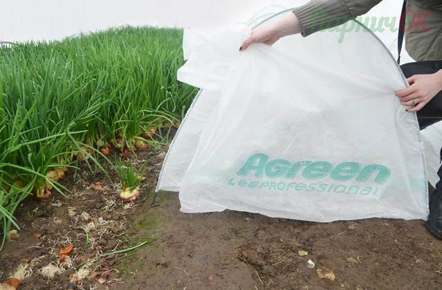 Парник Agreen 7 метрів, фото 1