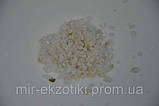 Ґрунт для акваріума білий (2,5-3 мм) Крихітка мармурова 1 кг, фото 2