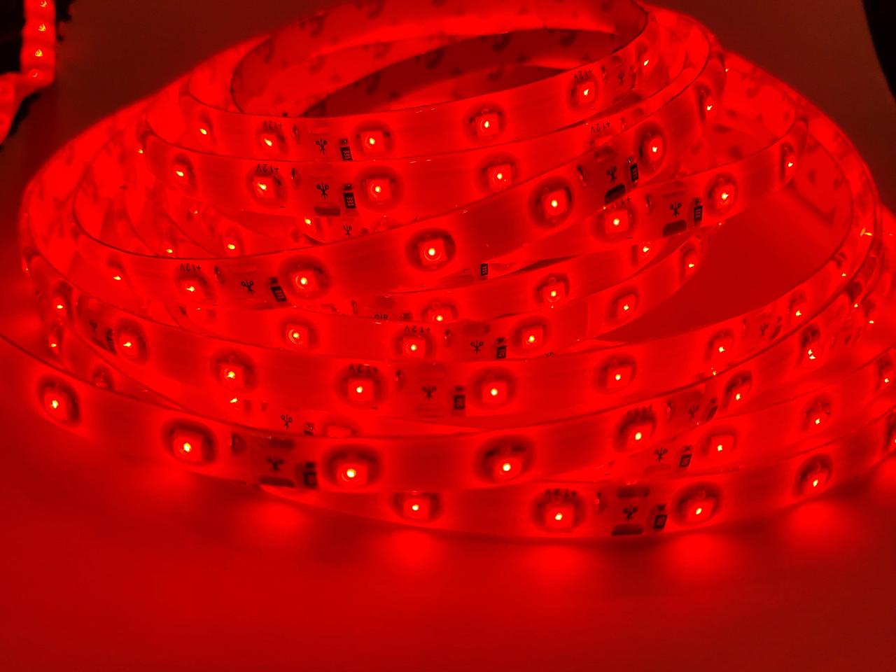 Світлодіодна стрічка червона MagicLed (чип-ва Тайвань) IP20 в (60 діодів/м)