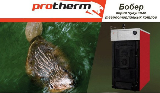 Котел твердотопливный Protherm бобер 40 DLO (29\32 Квт) длительного горения - фото 2 - id-p80122727