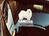 Наклейка на авто / машину Шетландская вівчарка (шелті) на борту, фото 2