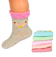 Носочки для новорожденных Малыш СB205-2 12-24. В упаковке 12 пар