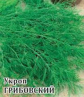 Семена укроп Грибовский кустовой 1кг выращивания в открытом и защищенном грунте на зелень и специи