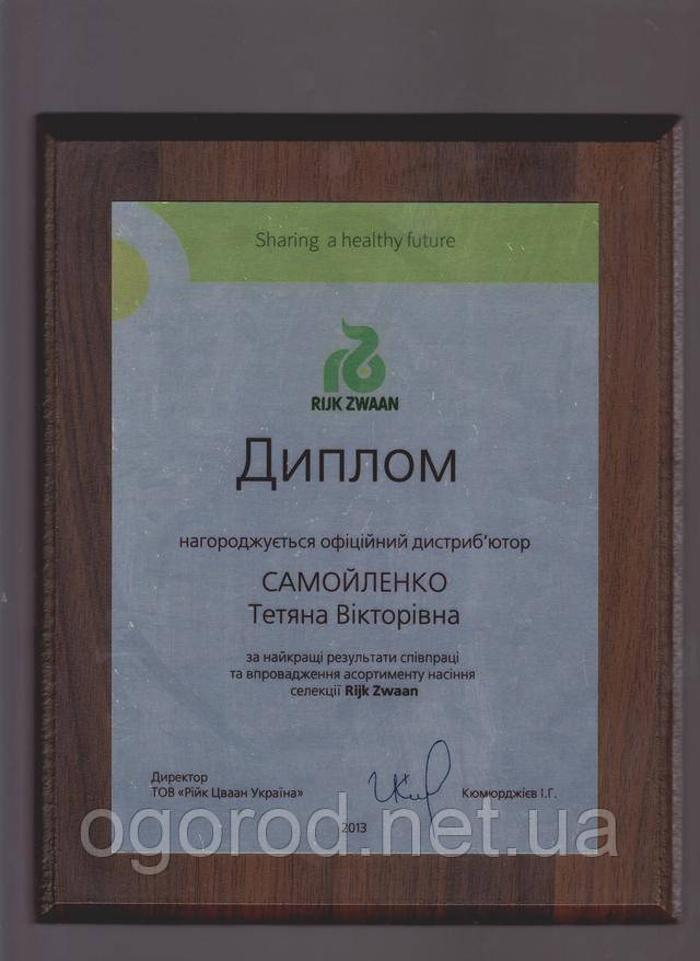 рийк цваан