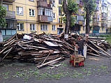 [vyvoz-derevo-musor] Вивезення та утилізація старого дерев'яного сміття - тариф безкоштовно, фото 5
