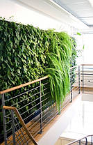 Трековий світлодіодний фітосвітильник SL-106F 20W (full spectrum led) чорний Код.59448, фото 4