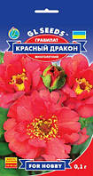 Гравилат Красный Дракон эффективный сорт с махровыми алыми соцветиями многолетний, упаковка 0,1 г