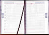 Щоденник недатований Смуги, 176 арк., клітка, фото 2