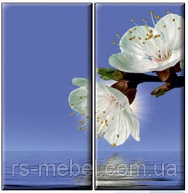 Фотодрук для двох дверей, фото 1