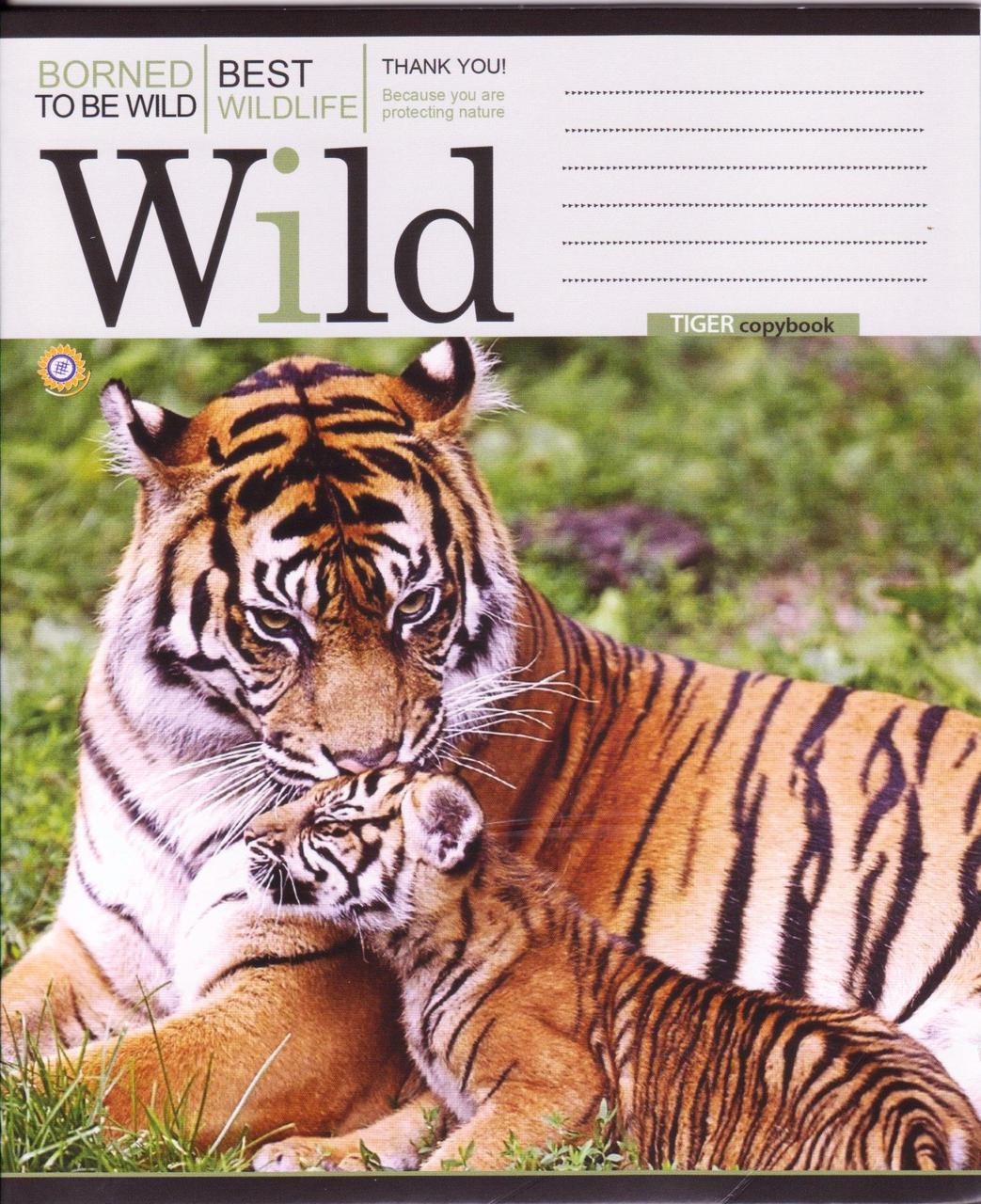Зошити 48 арк. лінія "Borned to be wild"