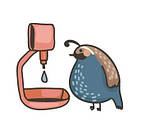 Ніпельні поїлки для птахів