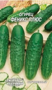 Огірок Фенікс Плюс 1 г СУ