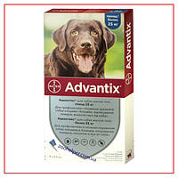 Краплі Advantix на 25-40 кг (Адвантикс) для Собак від клеєй і Бліх (4 піпетки/4,0 мл)
