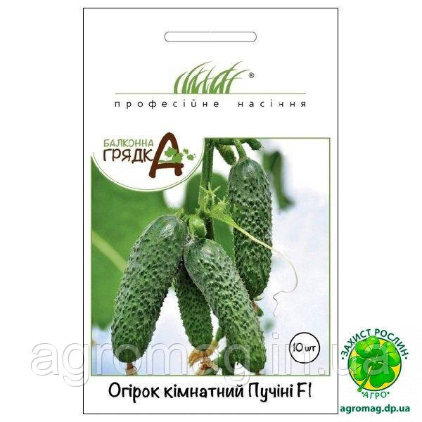 Огірок кімнатний Пучіні F1 10шт