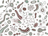 Боротьба з мікробами, вірусами — послуги Дезінфекції в Кривовому Розі, фото 2