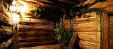 Лазня з липового обапола, фото 7