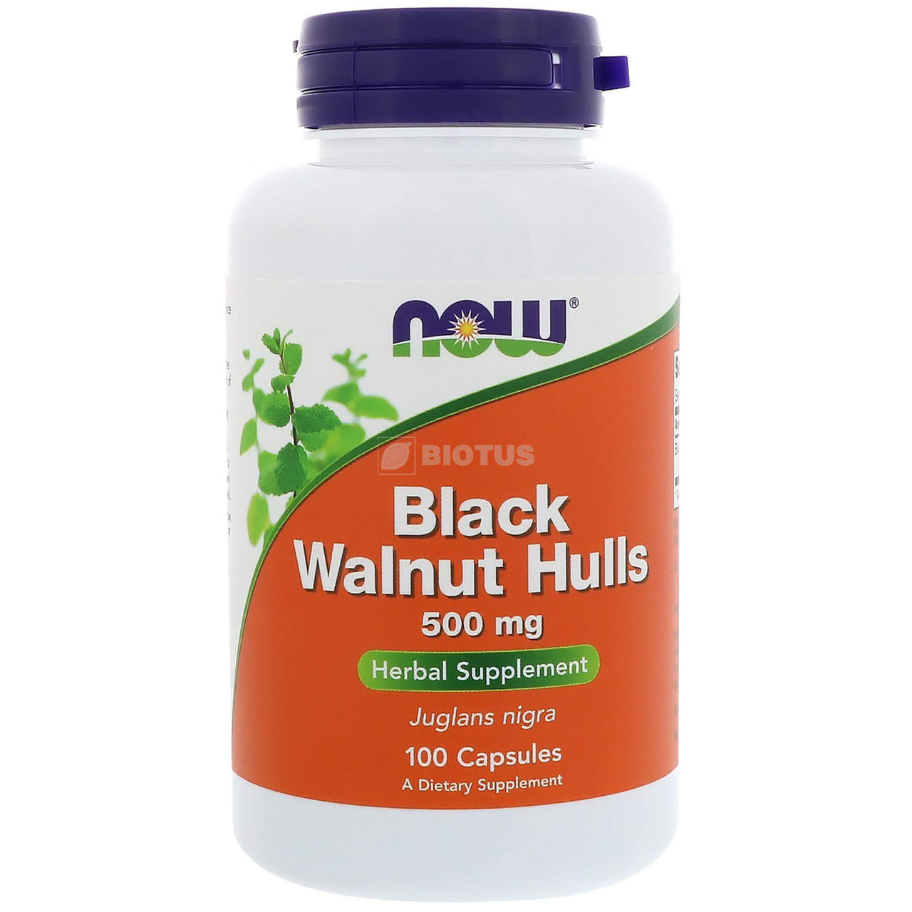 Чорний горіх BLACK WALNUT HULLS 500 мг 100 капсул