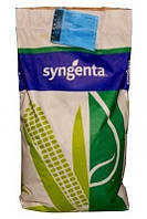 Насіння кукурудзи СІ Феномен (Syngenta) ФАО 220